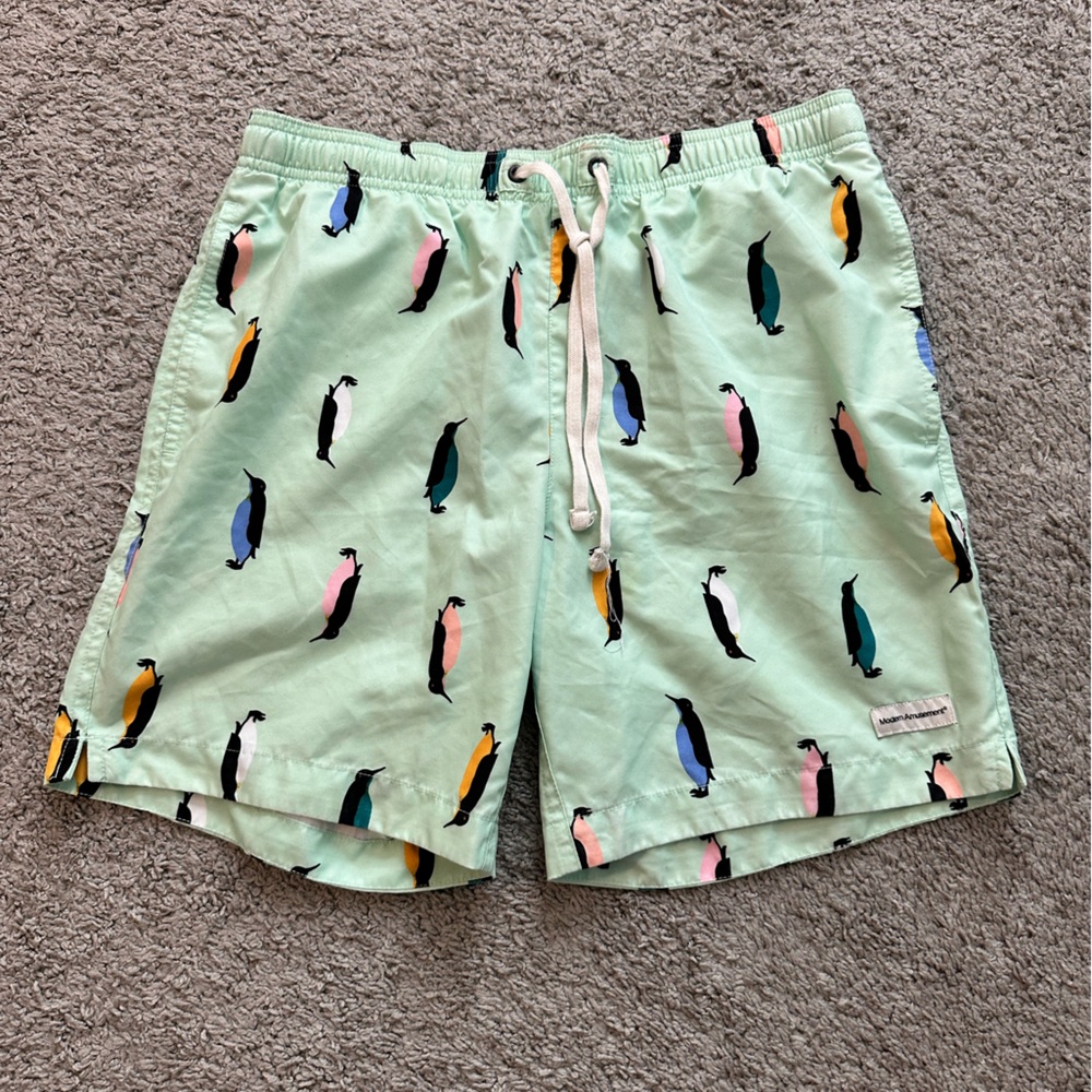 Modern Amusement seafoam Green Swim Shorts with Penguin Design